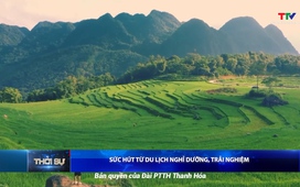 Bản tin Thời sự trưa 15/5/2025