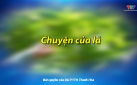 Ký sự miền sơn cước: Chuyện của lá