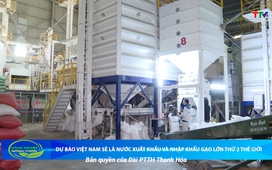 Bản tin Nông nghiệp – Nông thôn 17/5/2025