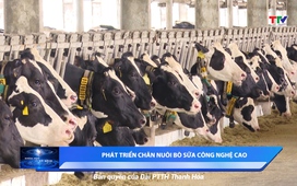 Khoa học và đời sống ngày 2/5/2025