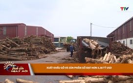 Bản tin Thời sự Thanh Hóa ngày mới 23/5/2025