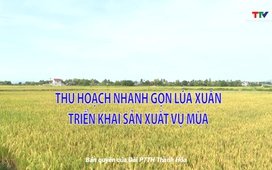 Khuyến nông 23/5/2025