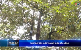 Bản tin Thời sự 14h ngày 27/5/2025
