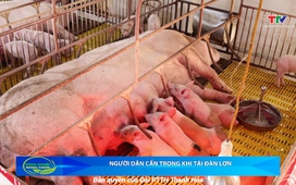 Bản tin Nông nghiệp – Nông thôn ngày 28/5/2025