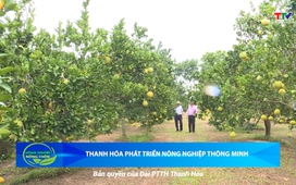 Bản tin Nông nghiệp – Nông thôn 3/5/2025