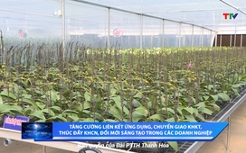 Khoa học và đời sống ngày 30/5/2025