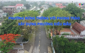Học tập và làm theo tư tưởng, đạo đức HCM ngày 31/5/2025