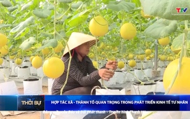Bản tin Thời sự 16h ngày 1/6/2025