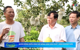 Bản tin Nông nghiệp nông thôn ngày 11/6/2025