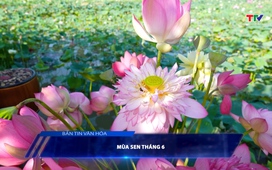 Bản tin Văn hóa ngày 11/6/2025
