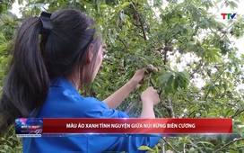 Bản tin Thời sự 18h ngày 11/6/2025