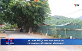 Bản tin Thời sự cuối ngày 12/6/2025