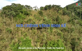 Ký sự miền sơn cước: Nơi chênh vênh sinh kế