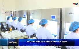 Bản tin Thời sự 16h ngày 14/6/2025