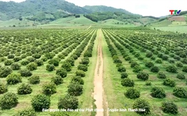 Bản tin Thời sự 16h ngày 16/6/2025