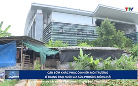 Hộp thư truyền hình ngày 16/6/2025