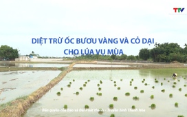 Khuyến nông 17/6/2025