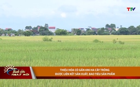 Bản tin Thời sự Thanh Hóa ngày mới 20/6/2025