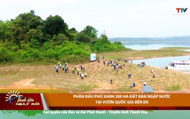 Thanh Hóa ngày mới 3/6/2025