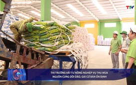 Bản tin Tài chính - Thị trường 20/6/2025