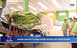 Bản tin Thời sự cuối ngày 20/6/2025
