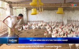 Bản tin Thời sư 16h ngày 24/6/2025