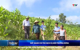 Bản tin Thời sự trưa ngày 29/6/2025