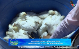 Bản tin Nông nghiệp nông thôn ngày 4/6/2025