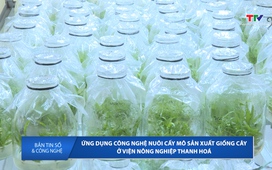 Bản tin Số và công nghệ ngày 4/6/2025