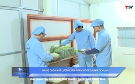 Khoa học và đời sống 6/6/2025