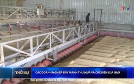 Bản tin Thời sự 16h ngày 9/6/2025