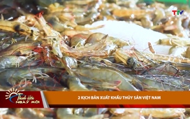 Bản tin Thời sự Thanh Hóa ngày mới 11/7/2025