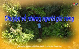 Ký sự miền sơn cước: Chuyện về những người giữ rừng