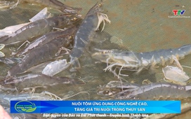 Bản tin Nông nghiệp nông thôn ngày 12/7/2025