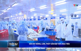 Bản tin Thời sự 9h ngày 14/7/2025