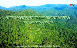 Phim tài liệu: Chính sách dịch vụ môi trường rừng đi vào cuộc sống