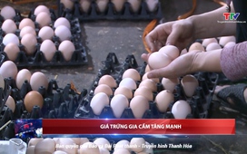 Bản tin Thời sự 18h ngày 15/7/2025