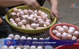 Bản tin Tài chính thị trường ngày 16/7/2025