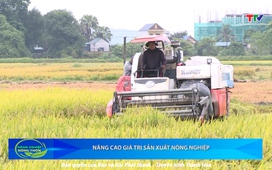 Bản tin Nông nghiệp nông thôn ngày 19/7/2025