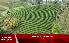Bản tin Du lịch: Khám phá đồi chè Bình Sơn