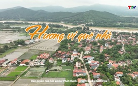 Đất và người Xứ Thanh: Hương vị quê nhà