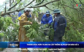 Bản tin Thời sự 14h ngày 23/7/2025