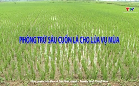 Khuyến nông ngày 22/7/2025