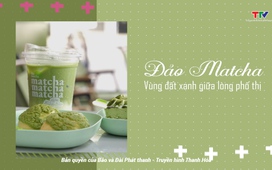 Foodtour Thanh Hóa : Đảo Matcha – Vùng đất xanh giữa lòng phố thị