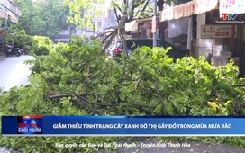 Bản tin Thời sự cuối ngày 29/7/2025