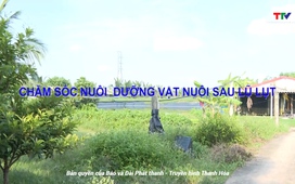 Khuyến nông 29/7/2025