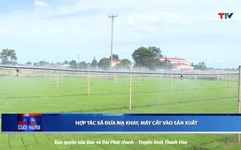 Bản tin Thời sự cuối ngày 03/7/2025