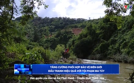 Thông tin đối ngoại 31/7/2025