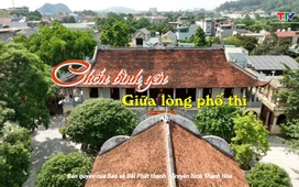 Ký sự: Chốn bình yên giữa lòng phố thị