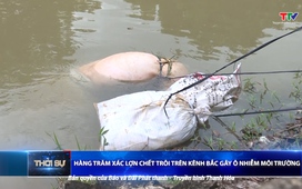 Bản tin Thời sự 16h ngày 8/7/2025